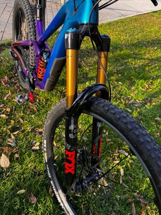 GIANT REING 2025 LIMITED