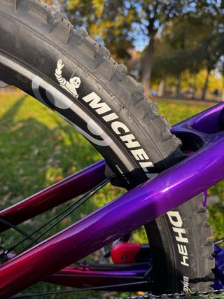 GIANT REING 2025 LIMITED