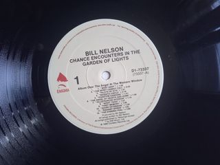 BILL NELSON "CHANCE ENCOUNTERS IN THE