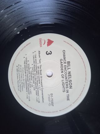 BILL NELSON "CHANCE ENCOUNTERS IN THE