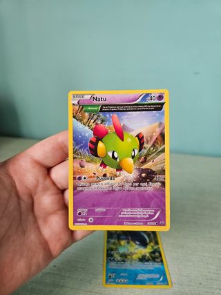 Natu 28/108 e Whiscash 41/160 Pokémon ITA
