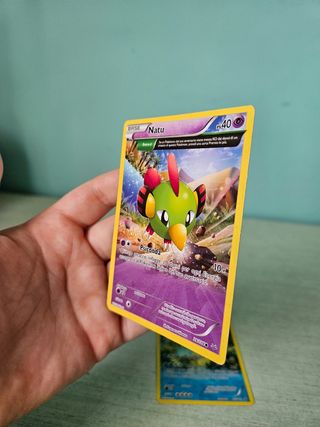 Natu 28/108 e Whiscash 41/160 Pokémon ITA