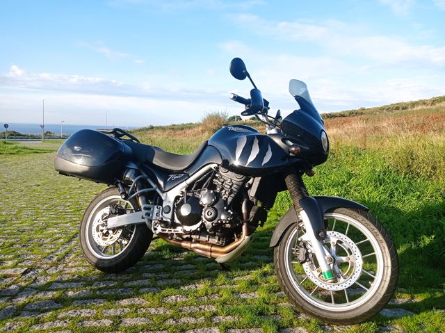 TRIUMPH TIGER 955i