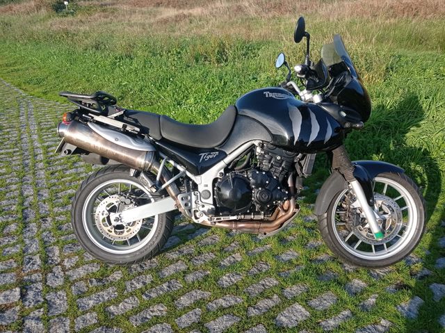 TRIUMPH TIGER 955i