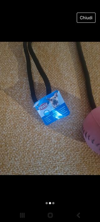 Gioco per cani