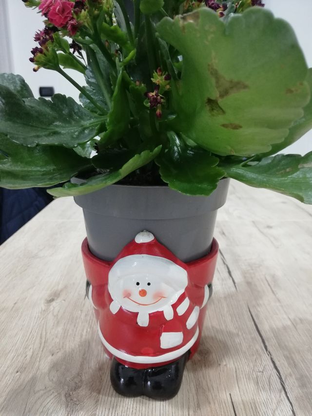 Portavaso babbo natale