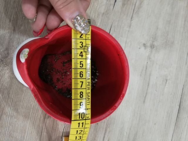 Portavaso babbo natale