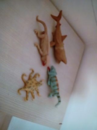 Animali in plastica mirbida