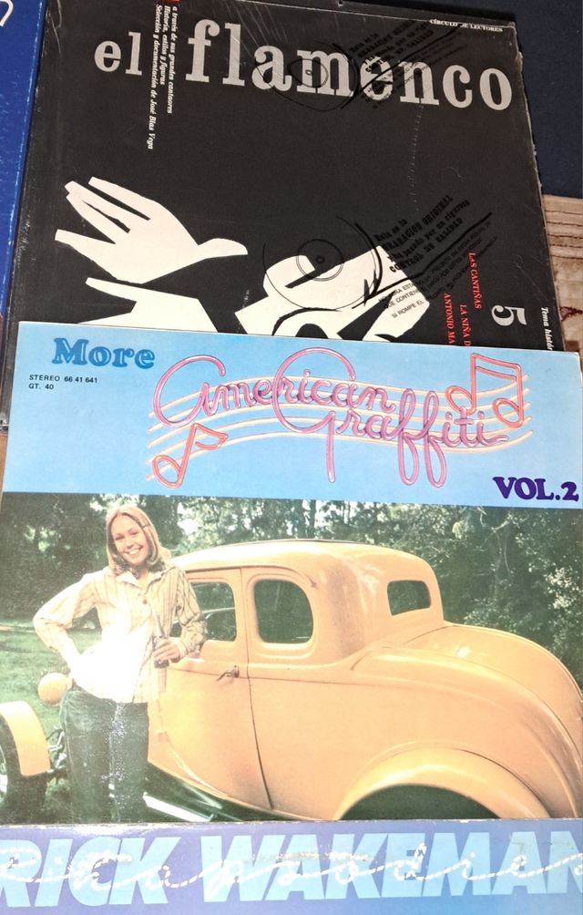 OFERTA!! 10 LPs Dobles, variados. Lote 14