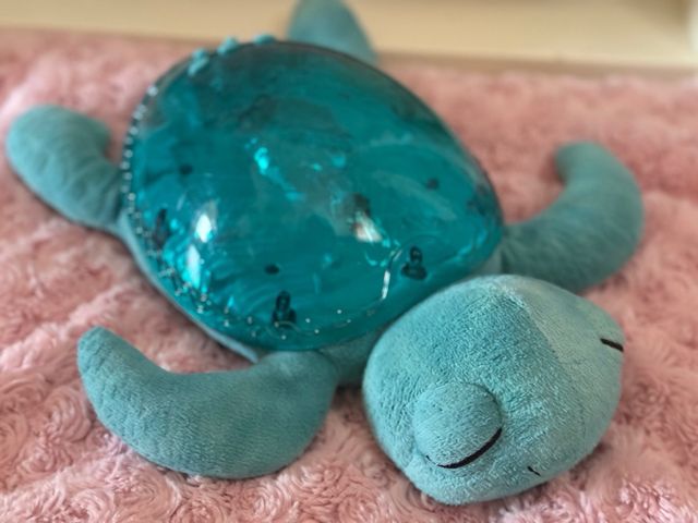 Tortuga de la calma-proyector 