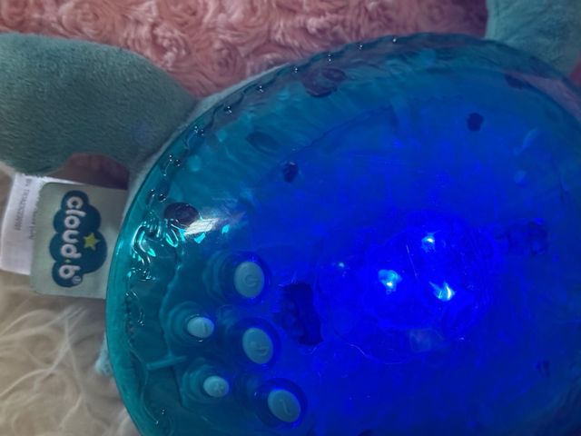 Tortuga de la calma-proyector 