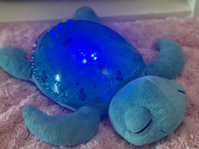 Tortuga de la calma-proyector 