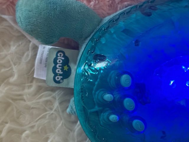 Tortuga de la calma-proyector 