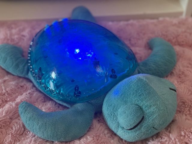 Tortuga de la calma-proyector 