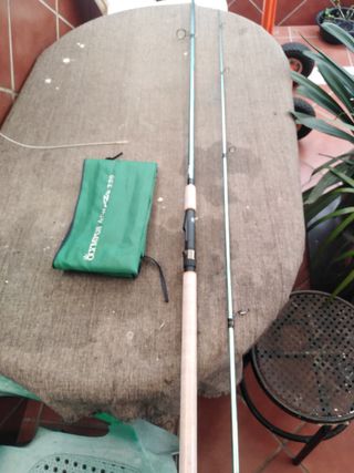 Pesca spinit