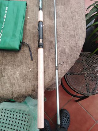 Pesca spinit