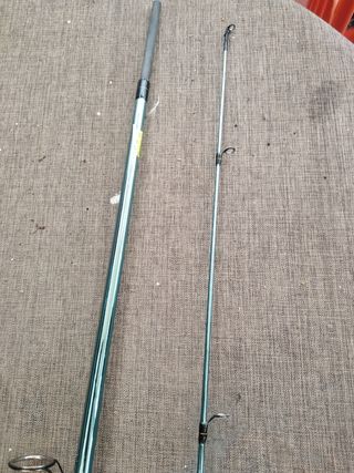 Pesca spinit