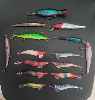 Artificiali da pesca spinning ed Eging