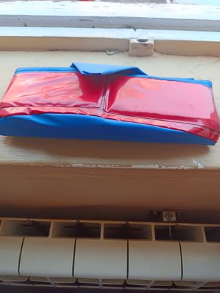 Piscina plegable perros pequeños 50x8cm