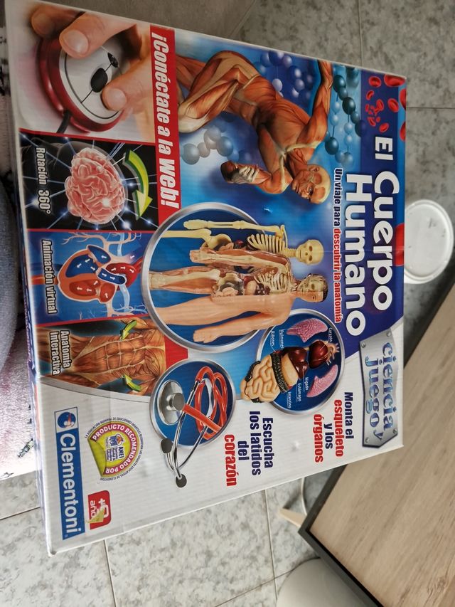 Juego del CUERPO  HUMANO