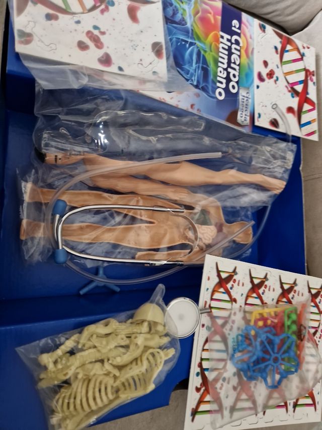 Juego del CUERPO  HUMANO