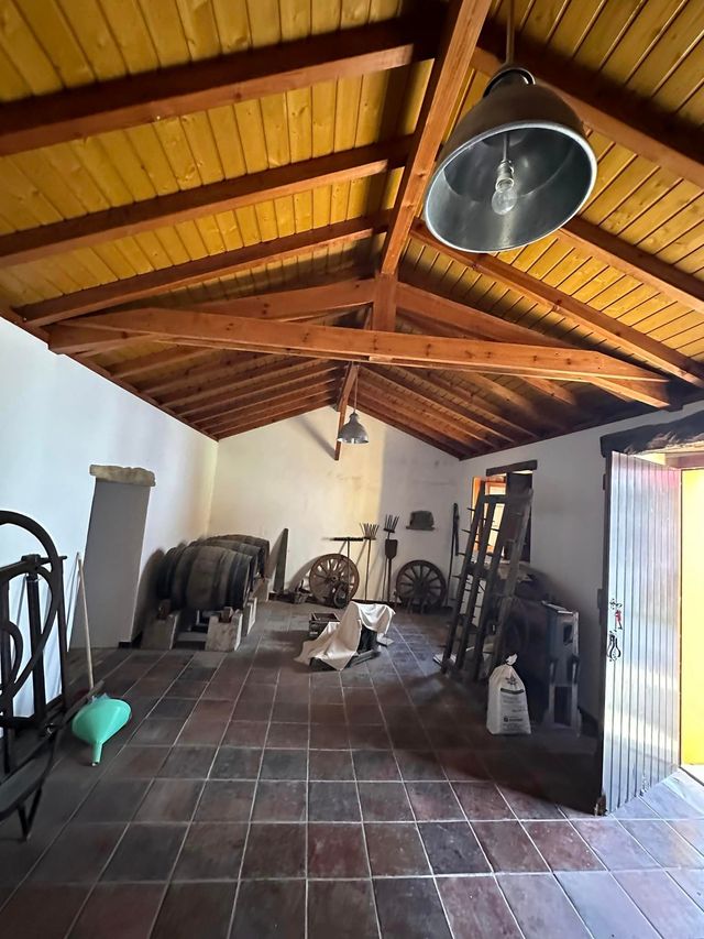 Várias antiguidades e velharias rurais