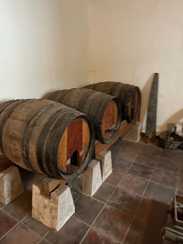 Várias antiguidades e velharias rurais