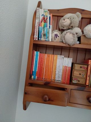 Estanteria+libros