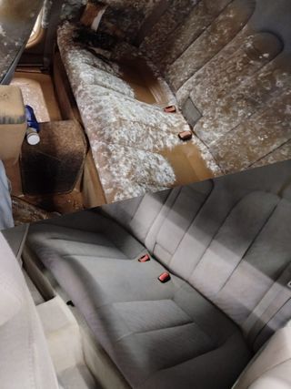 Se limpian tapizados