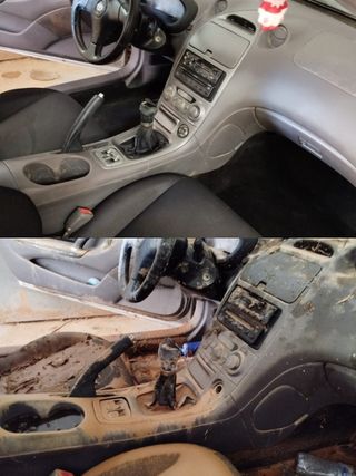 Se limpian tapizados