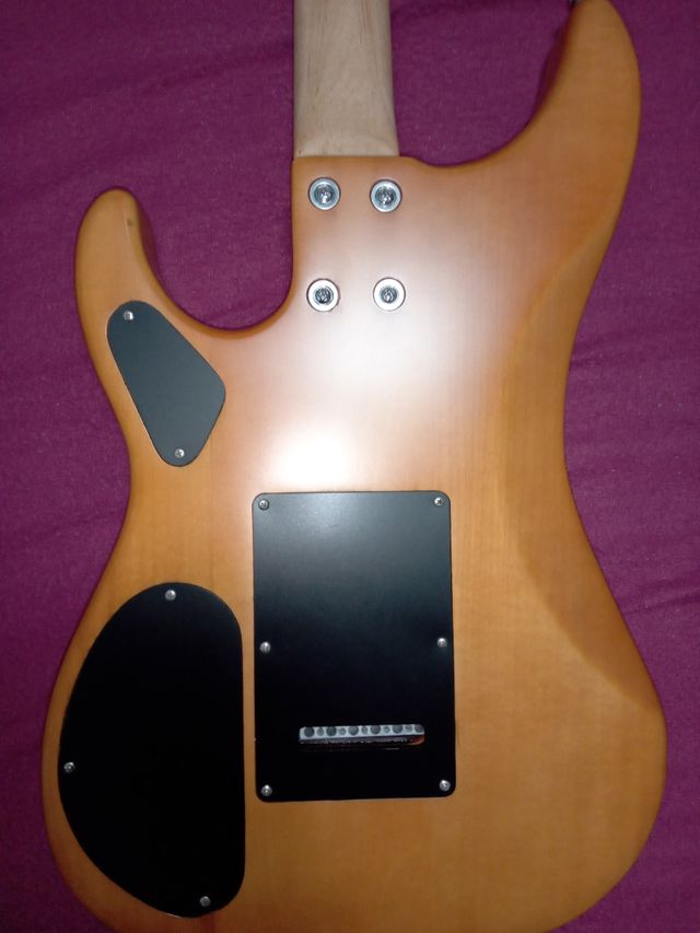 Guitarra washburn n1+guitalele