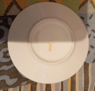 Conjunto de 5 chávenas de café