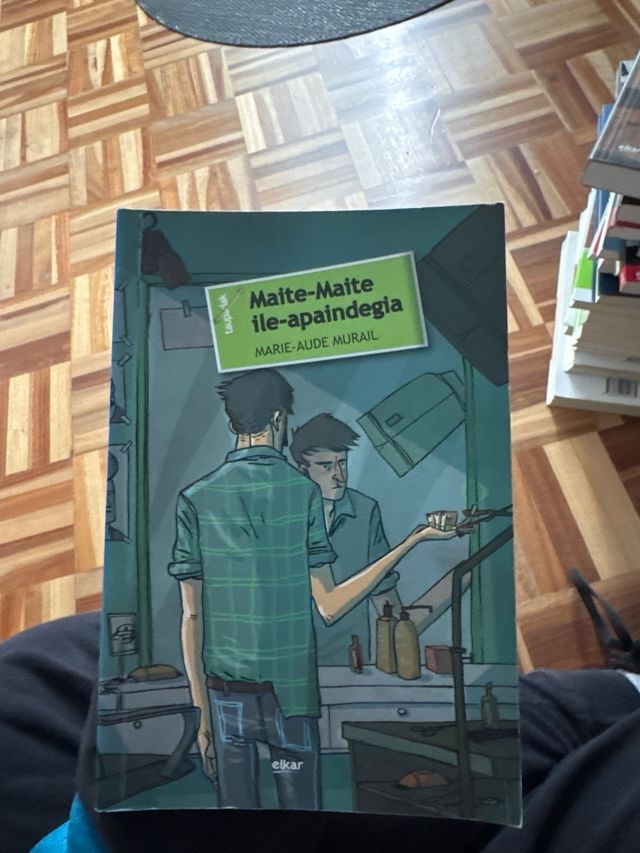 37. Maite-Maite ile-apaindegia