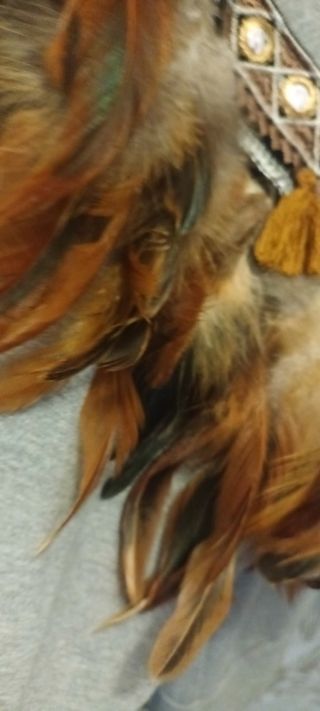 Sudadera con plumas en las mangas