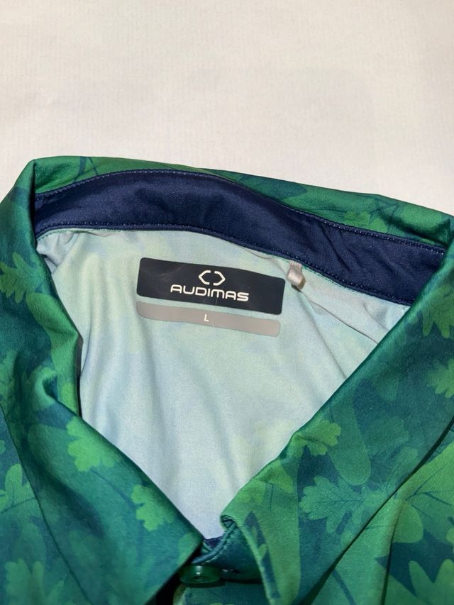 Polo lituano audimas