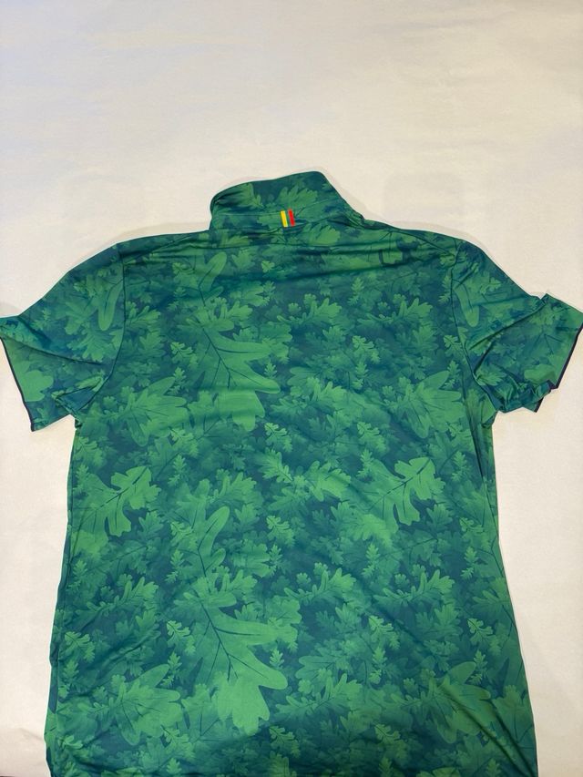 Polo lituano audimas