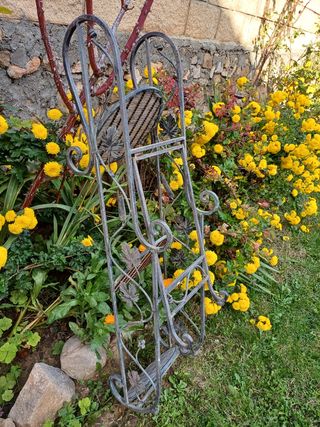 Estantería para plantas.