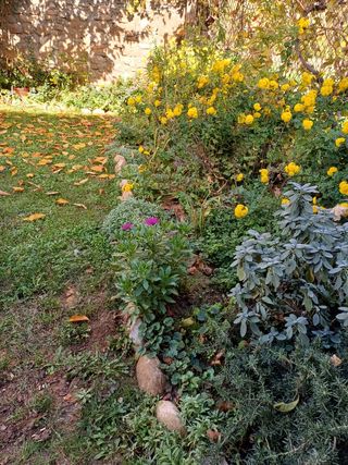 Estantería para plantas.