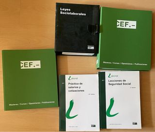 Curso CEF Derecho Laboral