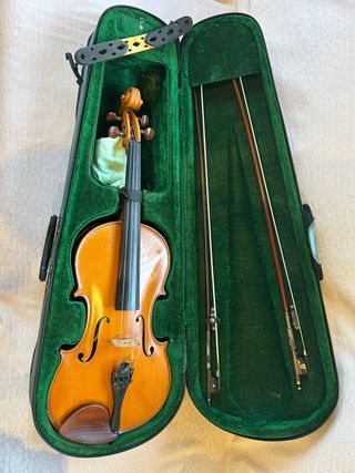 Viola del maestro lutier Luca Joan