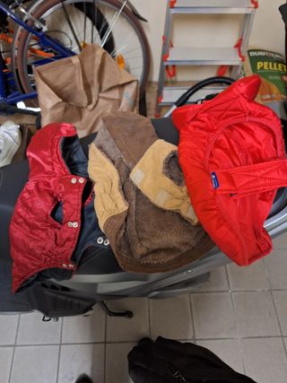 Vestiti cani piccola taglia