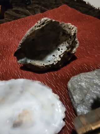 GANGA!!   DECORACIÓN PECERA