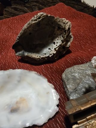 GANGA!!   DECORACIÓN PECERA