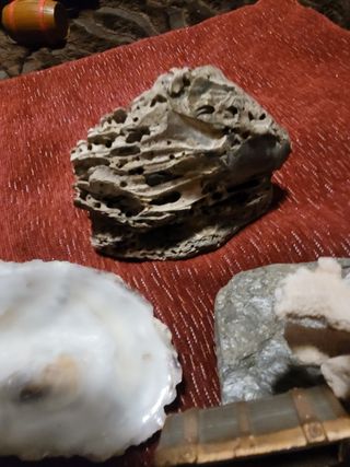 GANGA!!   DECORACIÓN PECERA