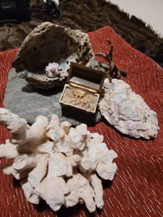 GANGA!!   DECORACIÓN PECERA