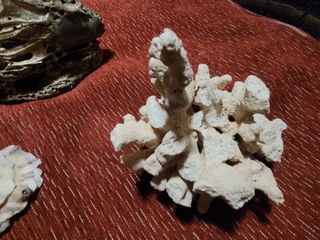 GANGA!!   DECORACIÓN PECERA