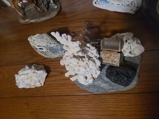 GANGA!!   DECORACIÓN PECERA