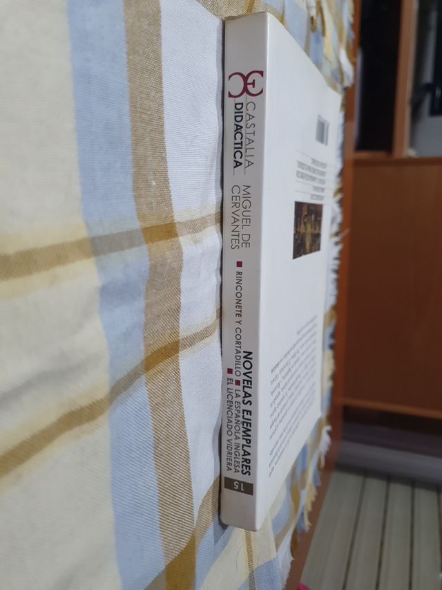 Novelas ejemplares (Castalia Didáctica) (Spanish Edition)