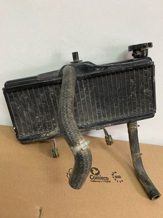 Radiador agua Honda Ns1
