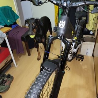 Horquilla durolux 38